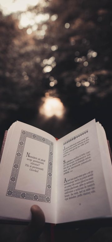 电子书网站 App 书单管理页面截图，三条书单以卡片形式纵向排列，每张卡显示书单名称、书籍数量与最近更新时间